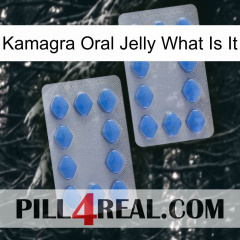 Kamagra Oral Jelly What Is It 20